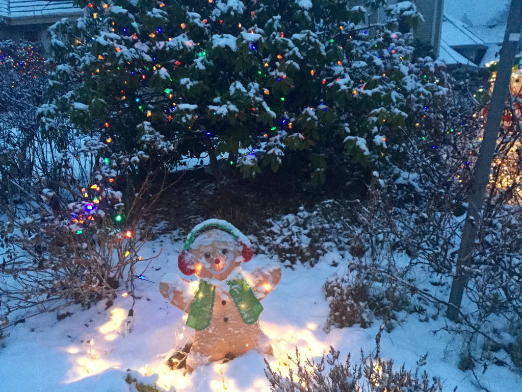 edible arrangements Christmas fruit platter